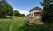 Tour Wandern Momignies - Macquenoise 170621 - Photo 1