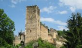 Tour Zu Fuß Gemeinde Hardegg - Merkersdorfer Rundwanderweg - Photo 7