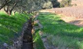 Trail Walking Pierrefeu-du-Var - SityTrail - cabane des gardes-Pierrefeu-25-02-22 - Photo 18