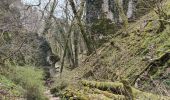 Tour Wandern Brochon - Boucle des cent marches et du pavillon de l'empereur  - Photo 10