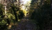 Excursión Senderismo Valderoure - Sommet du Beauroux : panoramique et champignons - Photo 10