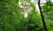 Randonnée Marche Entremont-le-Vieux - Refuge de l'Alpette - Photo 4