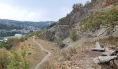 Trail Walking Aywaille - petite heure des gates - Photo 2
