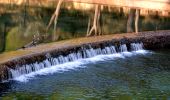 Randonnée Marche Sillans-la-Cascade - Traversée Sillans - Cascade - Chemin du train des pignes - Ruines chateau Salernes -  Piscine Salerne - Bord de rivière - Chapelle St Laurent - Photo 12