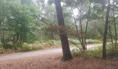 Tocht Noords wandelen Petit-Couronne - course en forêt du rouvray - Photo 2