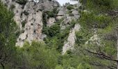 Trail Walking La Roquebrussanne - la loube la cheminée  - Photo 1