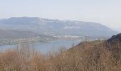 Tocht Mountainbike La Chapelle-du-Mont-du-Chat - col du chat st pierre de curtille - Photo 1