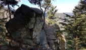 Excursión Senderismo Le Valtin - Col de la Schlucht - sentier des Roches - Petit Honneck - Honneck - Trois Fours - Photo 16