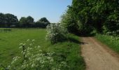 Tocht Te voet South Norfolk - Costessey Circular - Photo 7