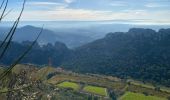 Trail Walking Gigondas - Dentelles de Montmirail - Photo 6