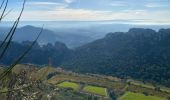 Tour Wandern Gigondas - Dentelles de Montmirail - Photo 6