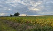 Tour Wandern Confracourt - Circuit 32 La forêt et les hommes ( version courte )  - Photo 1