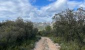 Tocht Stappen Cheval-Blanc - PF-Cheval-Blanc - Autour de Saint Phalez - Photo 10