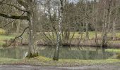 Trail Walking Trooz - Bois de la walthine - Photo 1