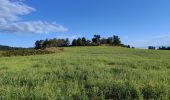 Randonnée Marche Verrières-en-Forez - Au dessus de Verriéres en Forez  - Photo 19