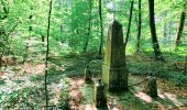 Tour Wandern Fontainebleau - Sur les traces de Césaire Sempité - Fontainebleau rocher canon - Photo 4