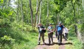 Trail Walking La Ferté-Alais - T-Misery - Photo 4