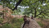 Tour Reiten Dossenheim - 2023-07-09 Picnic CVA Dossenheim sur Zinsel - Photo 5