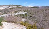 Excursión Senderismo Flassan - Le trèfle des Grangeons - Photo 8