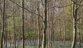 Tocht Stappen Thuin - Gozée-bois de Reumont-Gozée - Photo 1