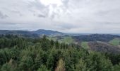 Tour Wandern Oberkirch - 2024 - Oberkirch Brennersteig  - Photo 1