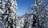 Randonnée Raquettes à neige Entremont-le-Vieux - Pointe-la Cochette-2020-12-13 - Photo 4