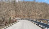 Excursión A pie Canossa - Mulino di Chichino - Scalucchia - Spigone - Predella - Gazzolo - Cerreggio - Taviano - Photo 1