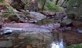 Excursión Senderismo Bagnols-en-Forêt - Gorges du Blavet au col de la pierre du coucou - Photo 2