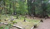 Tour Wandern Badenweiler - Tour du lac de Pierre-Percée depuis les cabanes du lac - Photo 8