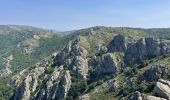 Trail Walking Rosis - Tour 360 des Rocs Caroux et de la Siejo par les Aiguilles et les Vires - Photo 1