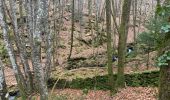 Trail Walking Brassac - Ruisseau du Ser  - Photo 3