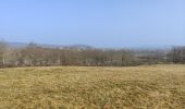 Tour Wandern Champdieu - Randonnée sur les hauteurs de Champdieu  - Photo 19