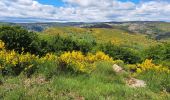 Tour Wandern Rosis - Caroux - Photo 2