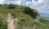 Trail On foot Plan-d'Aups-Sainte-Baume - Massif Sainte Baume et pas de l’Aï 15 km - Photo 12
