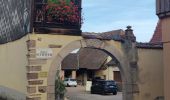 Tocht Stappen Eguisheim - Rando des cinq châteaux  - Photo 4