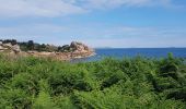 Tocht Stappen Perros-Guirec - la côte de granit rose à Ploumanach - Photo 1