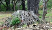 Tour Wandern La Cadière-d'Azur - La Peyguiere - Revers de Bocquié - Le télégraphe - La barbarie - Photo 13