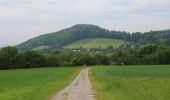 Trail On foot Poppenhausen - Poppenhausen - Rhön-Rundweg 1 - Photo 8