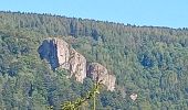 Tour Wandern Wegscheid - FucksfelsenBelacker - Photo 10