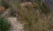 Trail Walking Vescles - Vescles Sous le pic d'oliferne  - Photo 5