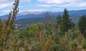 Tocht Stappen Sault - ballade du vallat du loup - Photo 11