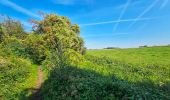 Tocht Stappen Philippeville - Balade de Villers-le-Gambon à Franchimont - Photo 11