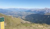 Trail Walking Châtillon-en-Diois - jocou par le mont Barral depuis le col de Menée   - Photo 1