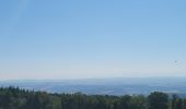 Excursión Cicloturismo Les Rousses - LES ROUSSES - LAC DE JOUX ET ROMAINMOTIER - Photo 6