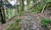 Tocht Stappen Kruth - Schlossberg Wildenstein 2,9 km - Photo 7