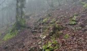 Trail Walking Chapelle-des-Bois - Chapelle-des-Bois en passant par la roche Bernard  - Photo 4