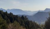 Trail Walking Bayons - BAYONS  . col des Sagnes , Peyrouret , Picouse , bergerie de Gautiere , Piaure , Giaire n - Photo 11