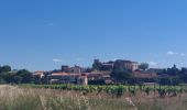 Tour Wandern Bize-Minervois - CC_Piemont_AC_03_Bize-Minervois_Homps_20240613 - Photo 10