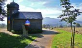 Tour Zu Fuß Wunsiedel - Landschaftslehrpfad Wunsiedel - Photo 6