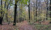 Tocht Stappen Hamoir - Comblain la Tour - Esneux haut 18,1 km - Photo 9